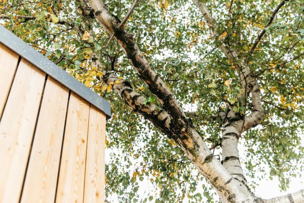 Carmen Eco-Pod / Treehouse, Close To Cabot Circus Bristol Extérieur photo